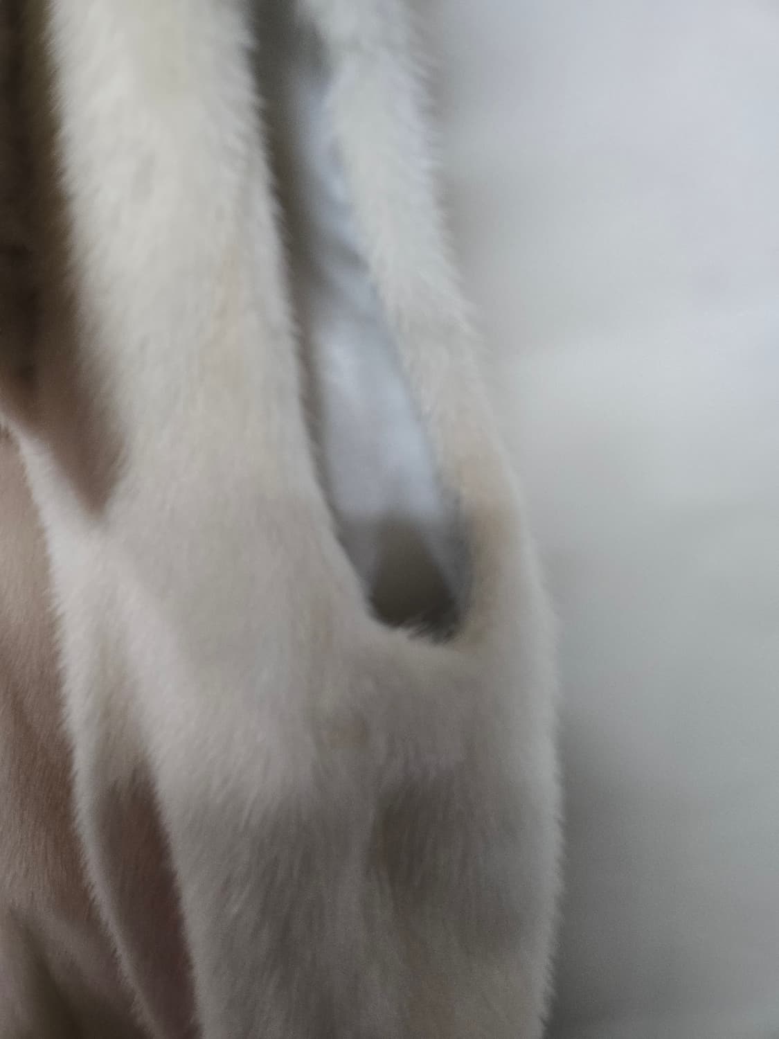 Burgundy Quality 밍크 후드 베스트 아이보리 코펜하겐퍼 버건 상품이미지5