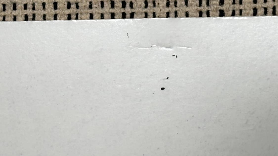 그레이시 아브람스 엘피  상품이미지3