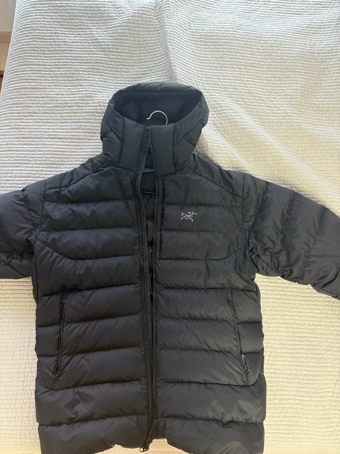 아크테릭스 토륨 후디 L 상품이미지2