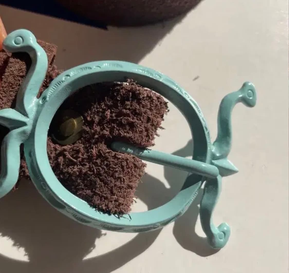 캐피탈 스웨이드 버클 벨트 상품이미지2