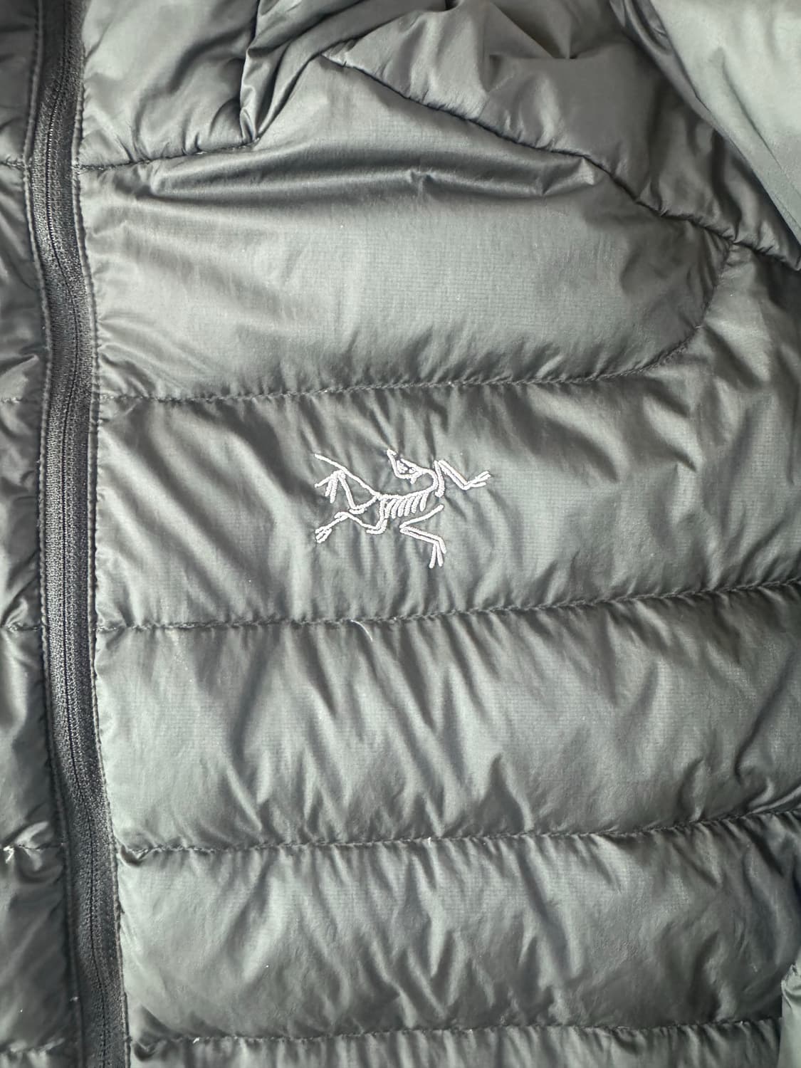 L 아크테릭스 세륨 후디 패딩 블랙 상품이미지2