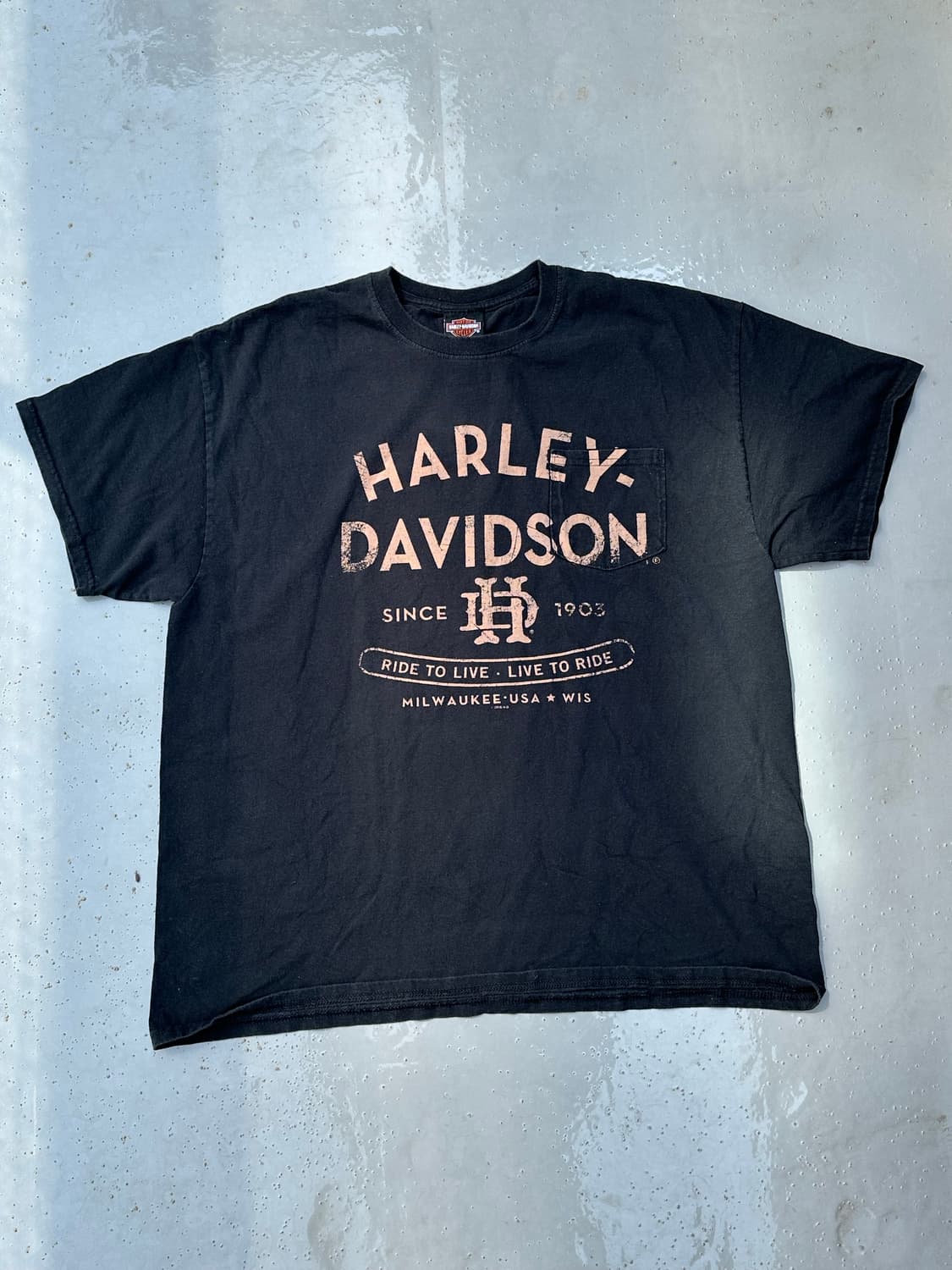 [할리데이비슨] •Vintage Arch Tee 상품이미지1