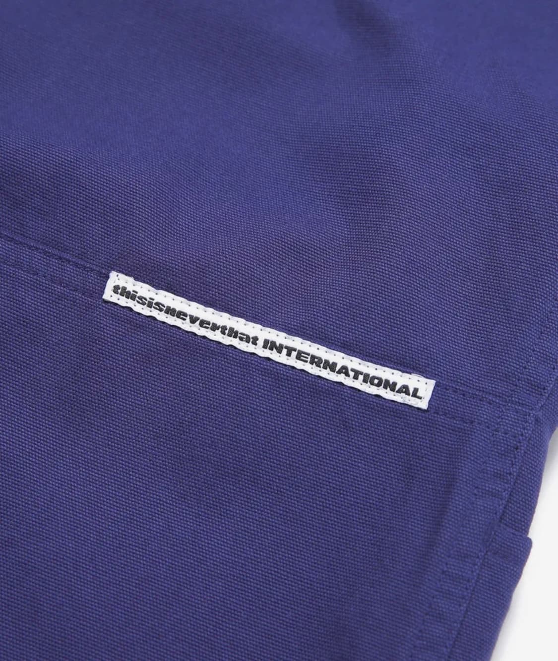 디스이즈네버댓 카펜터 워크 팬츠 상품이미지6