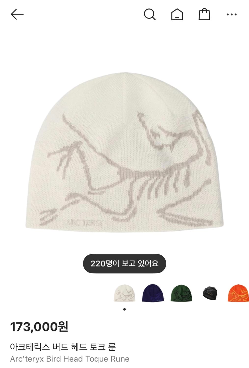 아크테릭스 비니 룬 새상품 상품이미지1