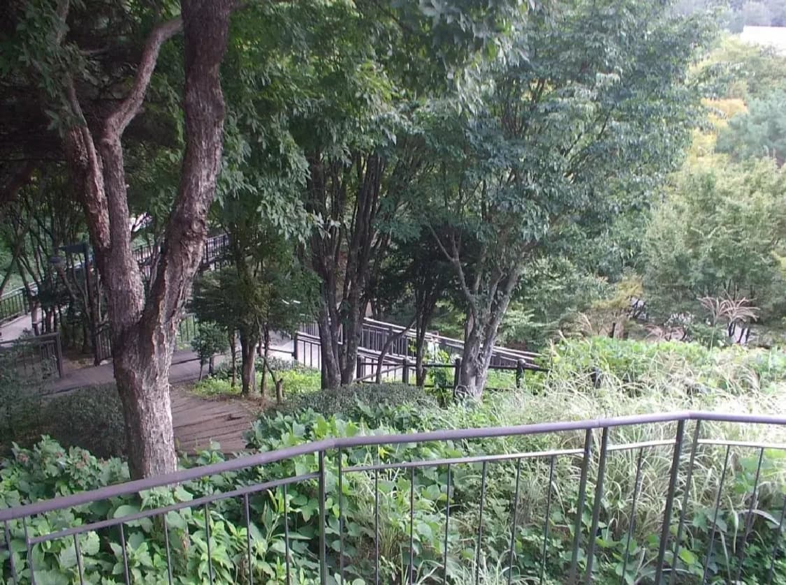 펜탁스 옵티오 MX4 디카 (캠코더 디카) 상품이미지7