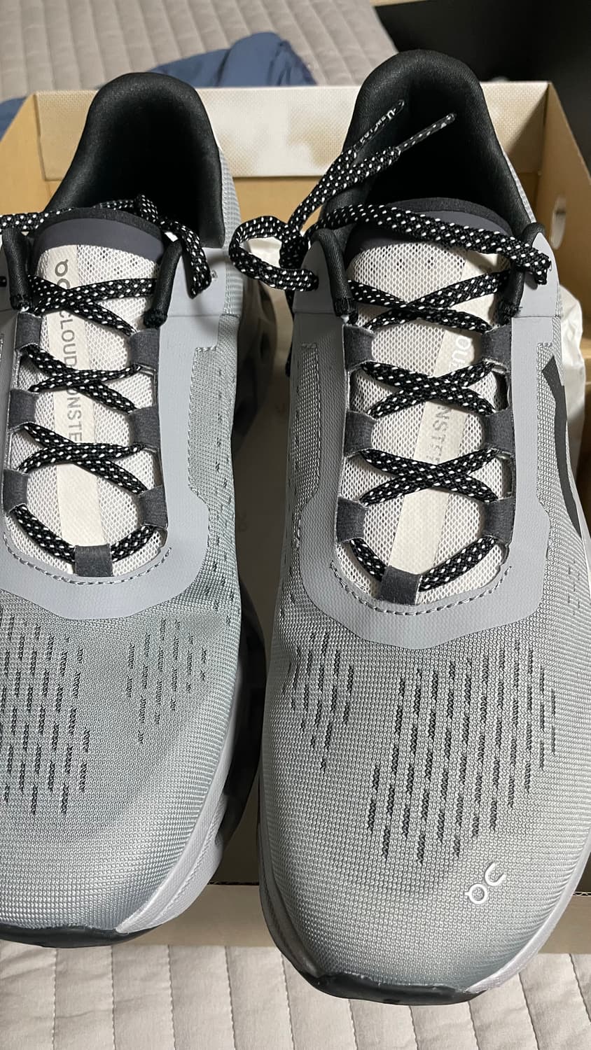 온러닝 클라우드몬스터 알로이 실버 43 275 9.5 상품이미지2