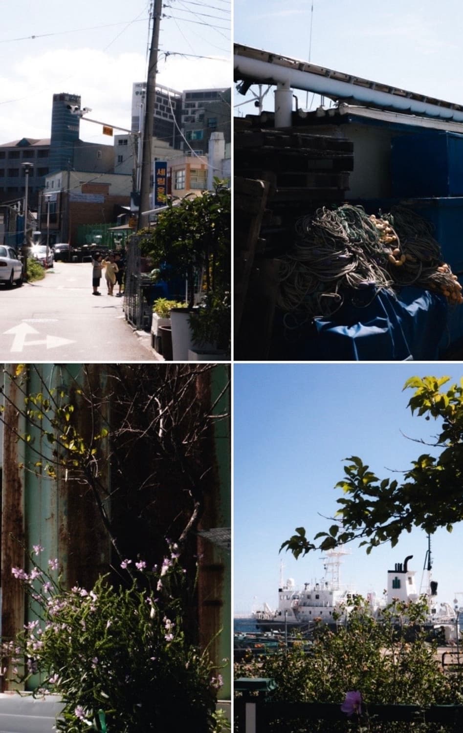 파나소닉 panasonic lumix lx7 상품이미지10