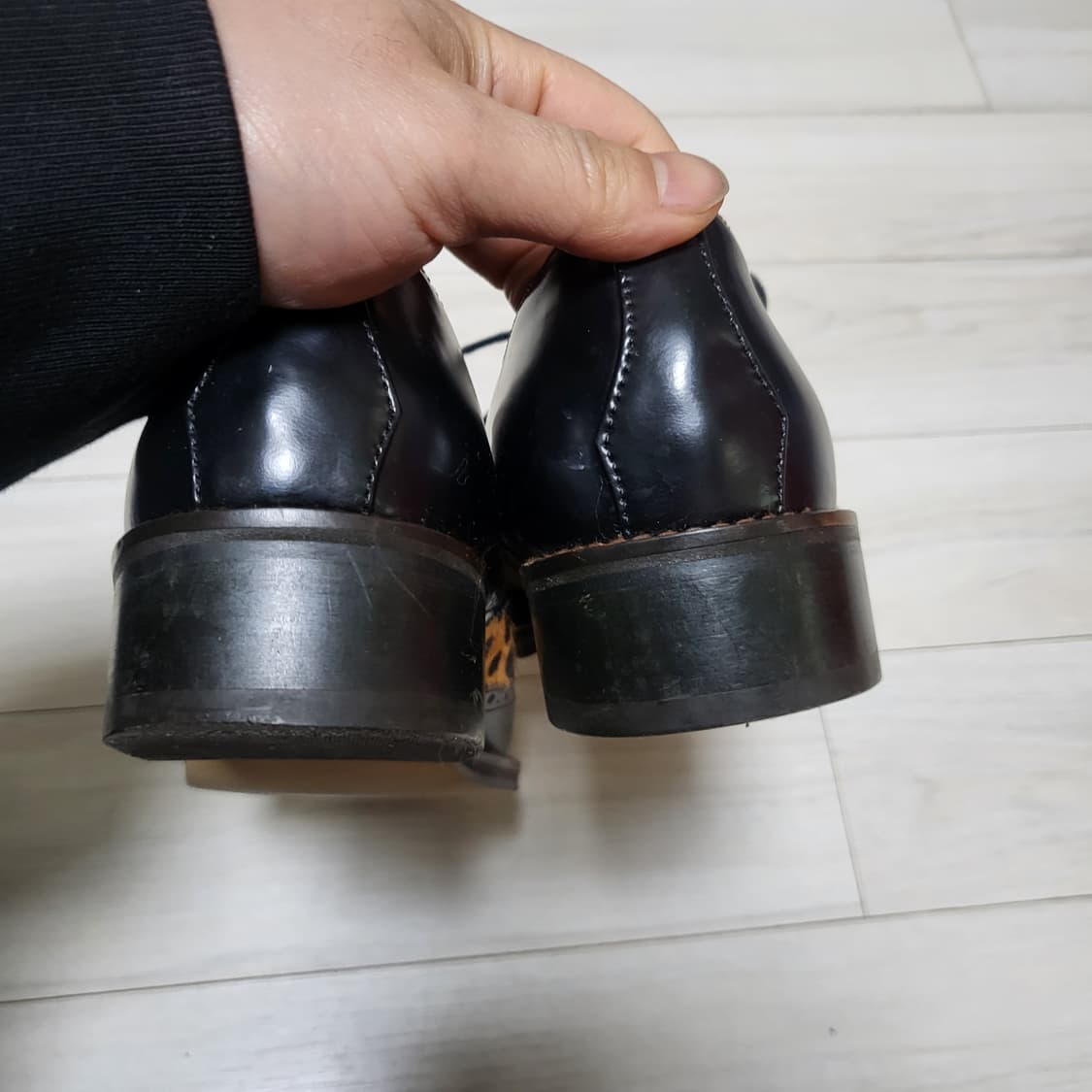 (240) 쇼쉬르라팡 송치 윙팁 레오파드 구드 상품이미지6