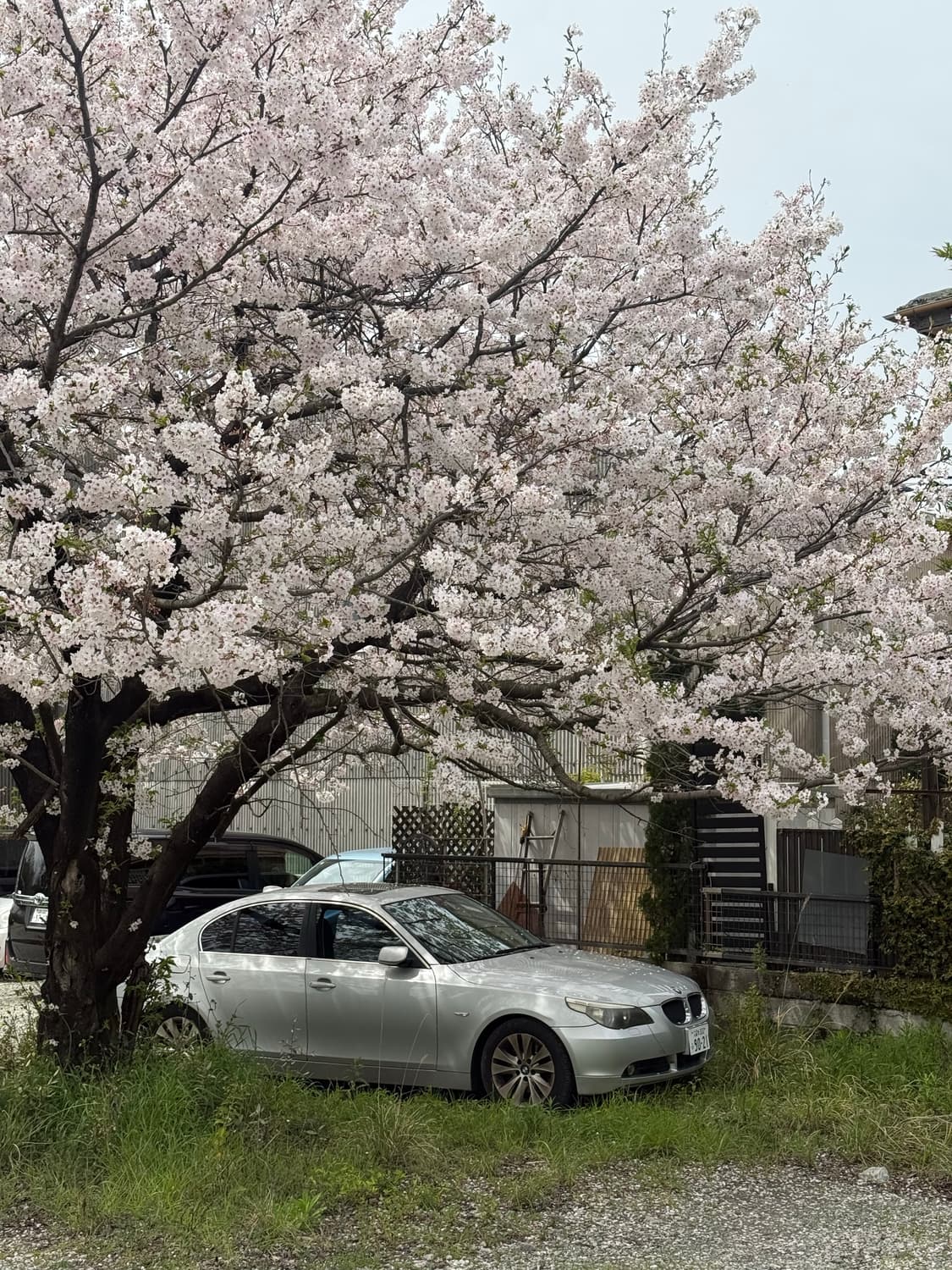 전 제품 최대 50% 할인중💥💥 상품이미지1