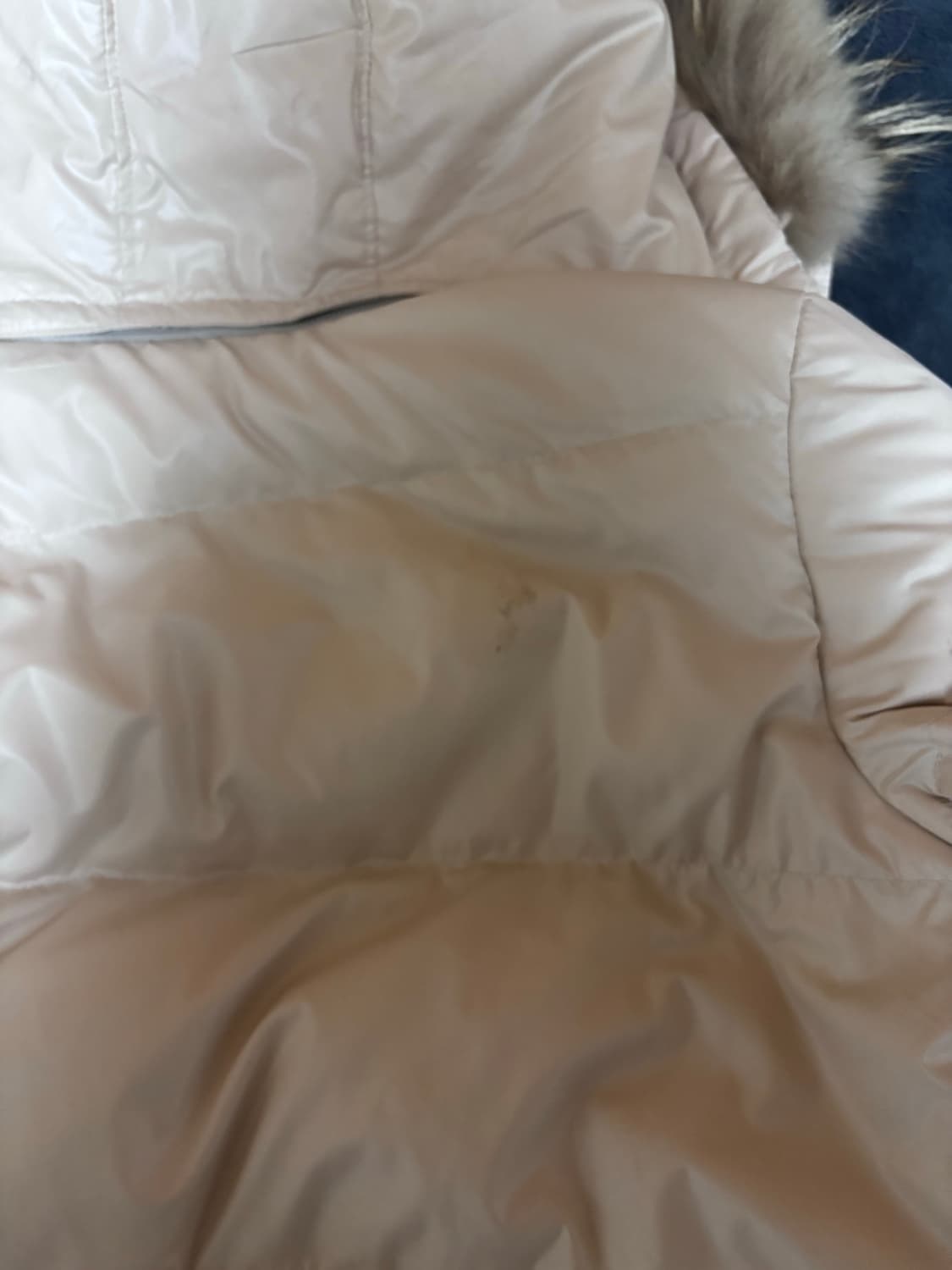 Shop502 샵오공이 패딩 상품이미지3