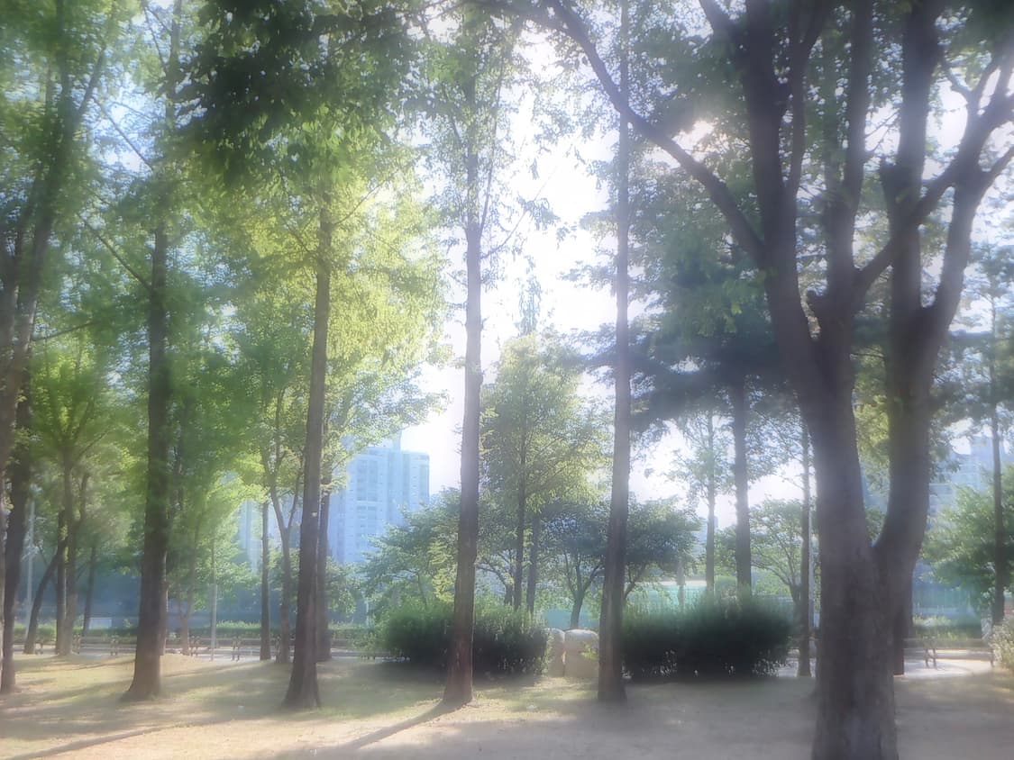[작례/바로 사용] 카시오 엑슬림 EX-FR10 상품이미지10