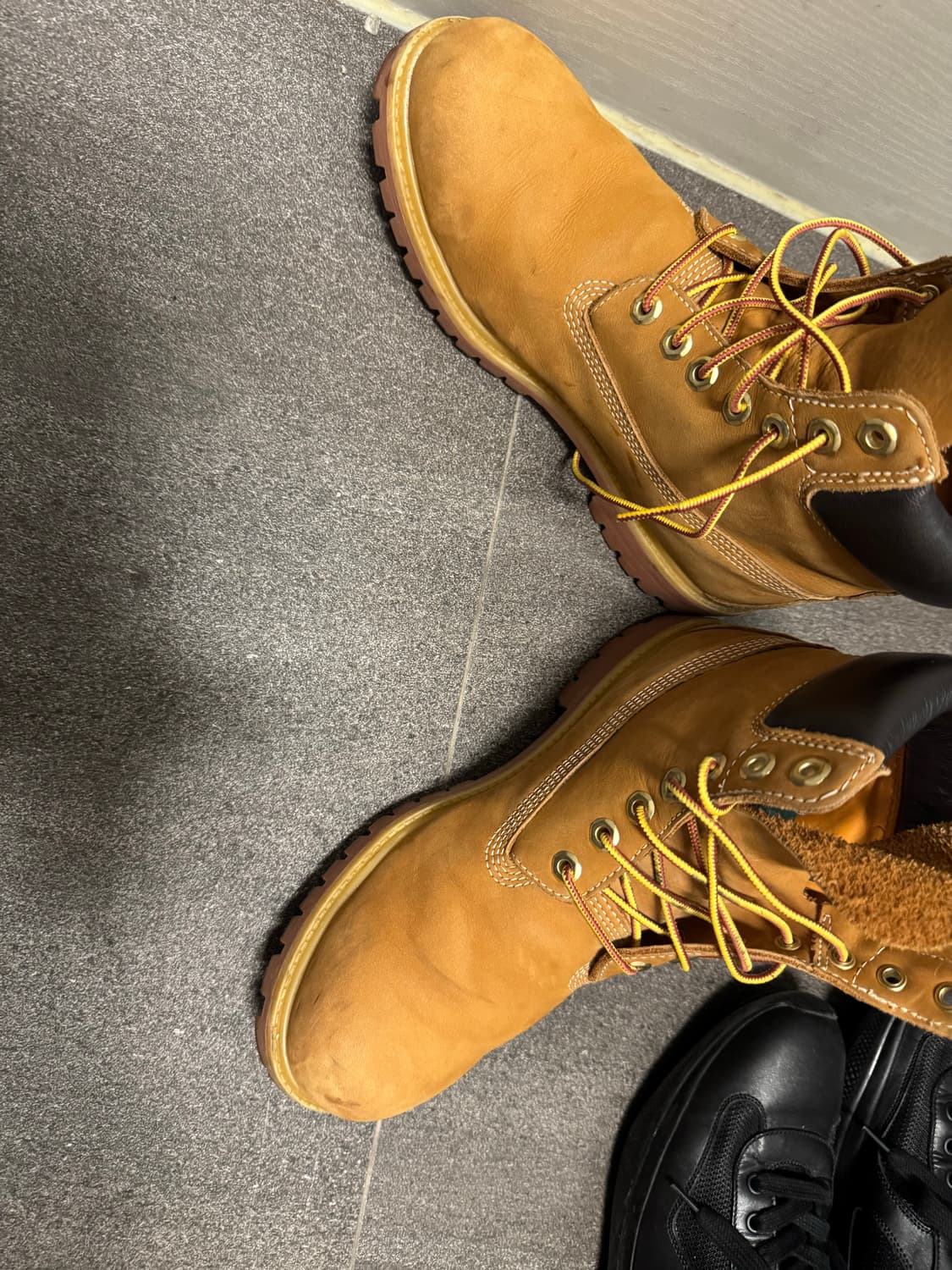 팀버랜드 프리미엄 6인치 워터프루프 부츠 위트 누벅 - 와이드 260 상품이미지2