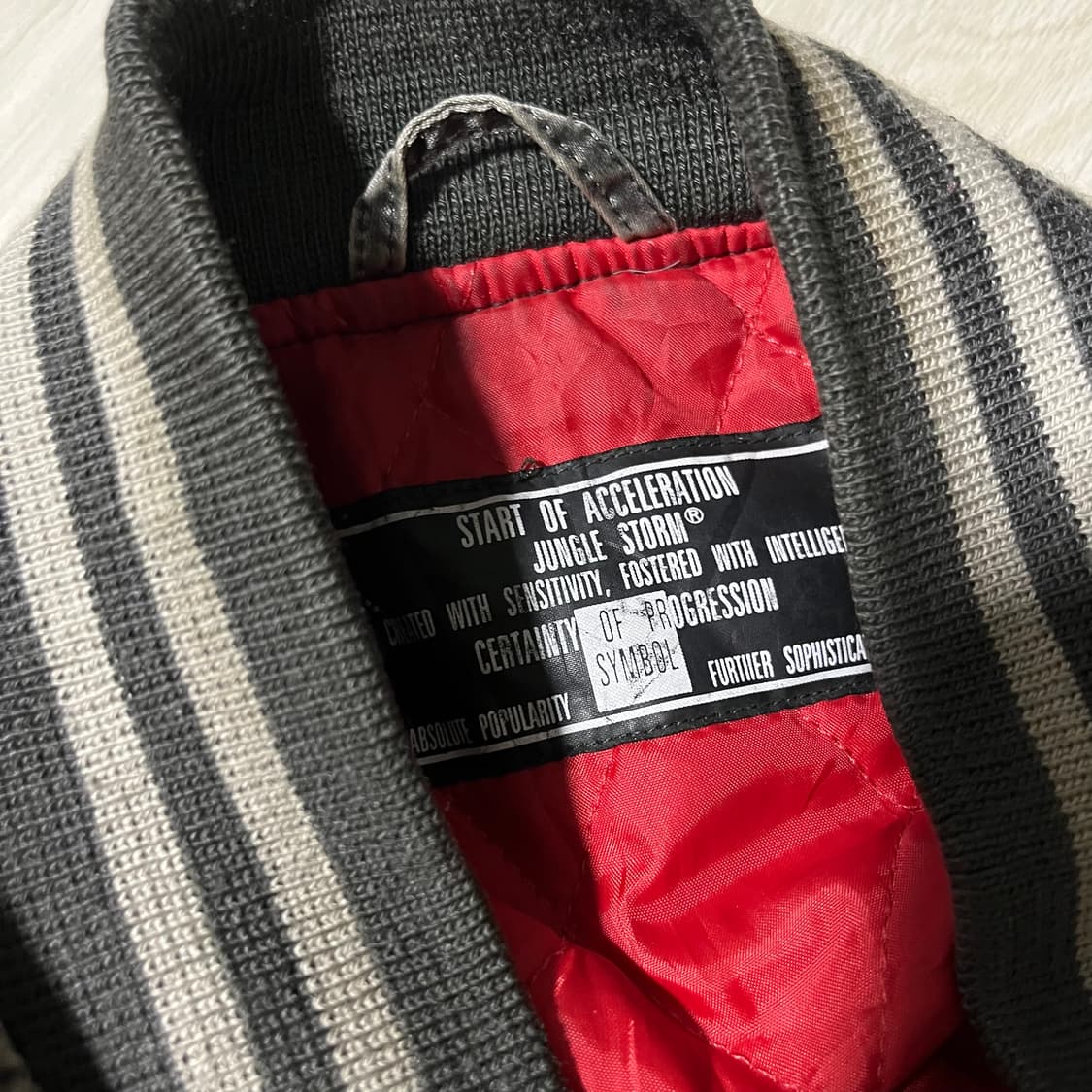 Jungle Storm . 정글스톰 요코스카 드래곤 스카쟌 상품이미지6