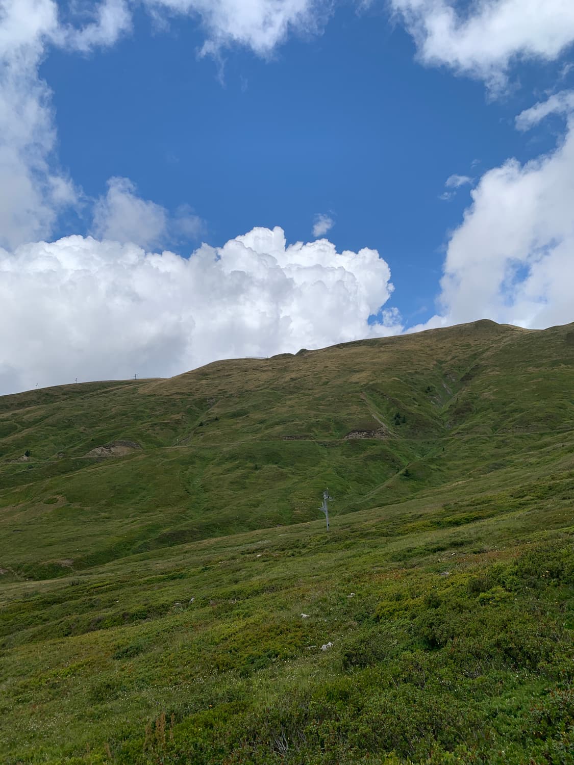 아이폰xs 512gb 로즈골드 상품이미지8