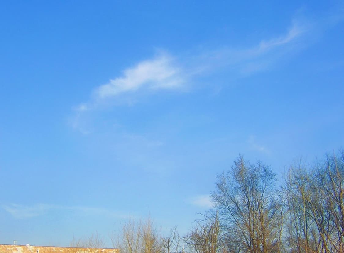 (사쿠라디카🎀) 상태최고 니콘 쿨픽스 2100 블루 상품이미지5