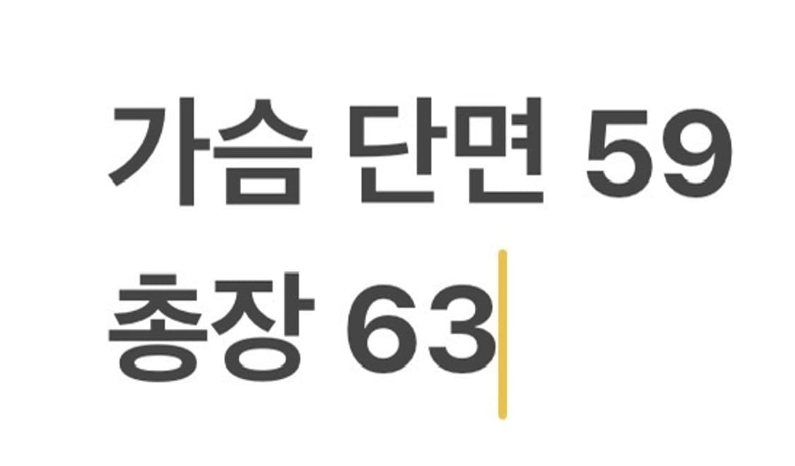 [정품/M] 데상트 롯데 자이언츠 플리스 풀오버 웜업 b8 상품이미지7