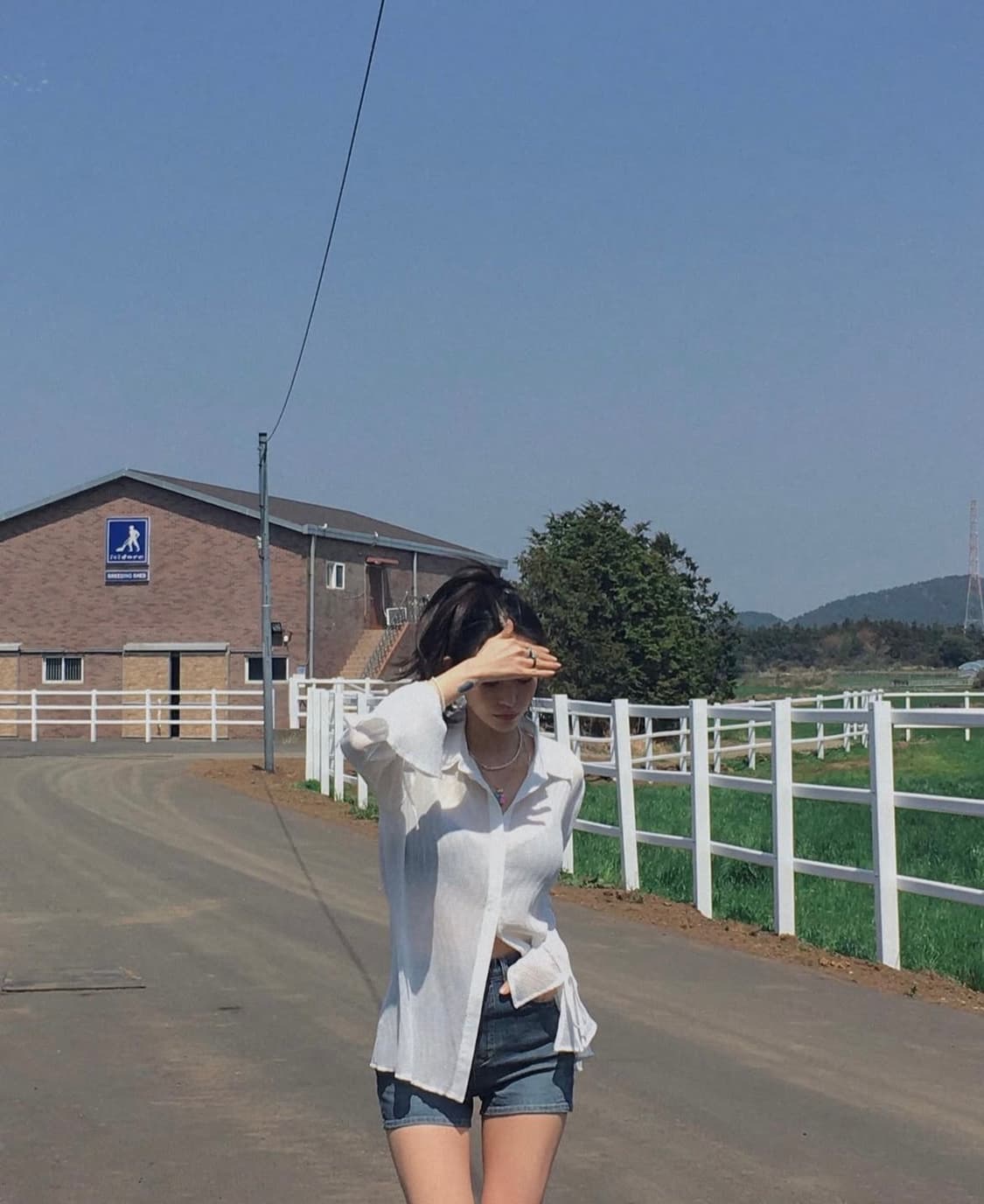 [새상품]페일제이드 스완 블라우스 화이트 프릴 블라우스 상품이미지5