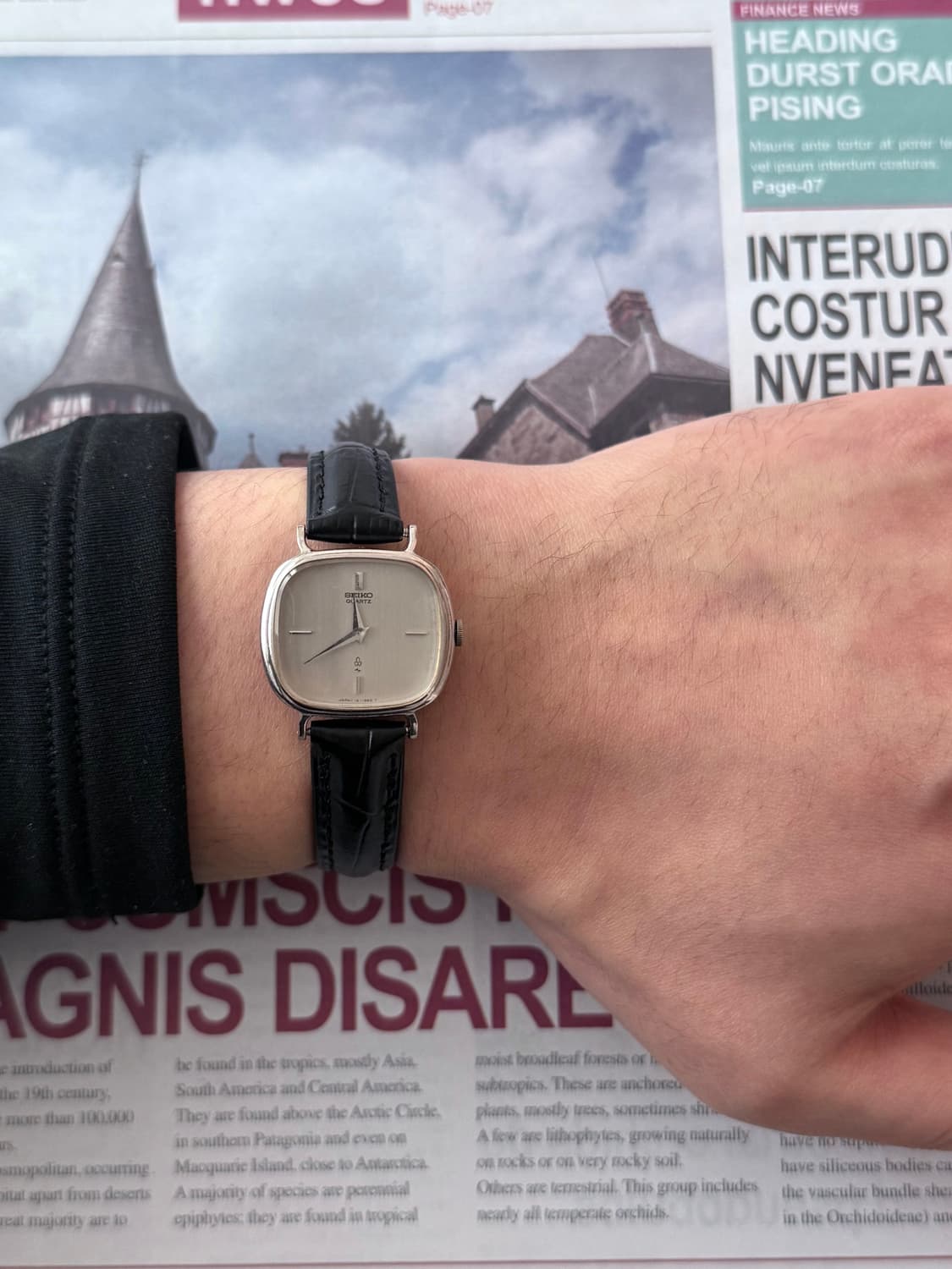 세이코 Seiko PDP 스퀘어 실버 쿼츠 상품이미지4