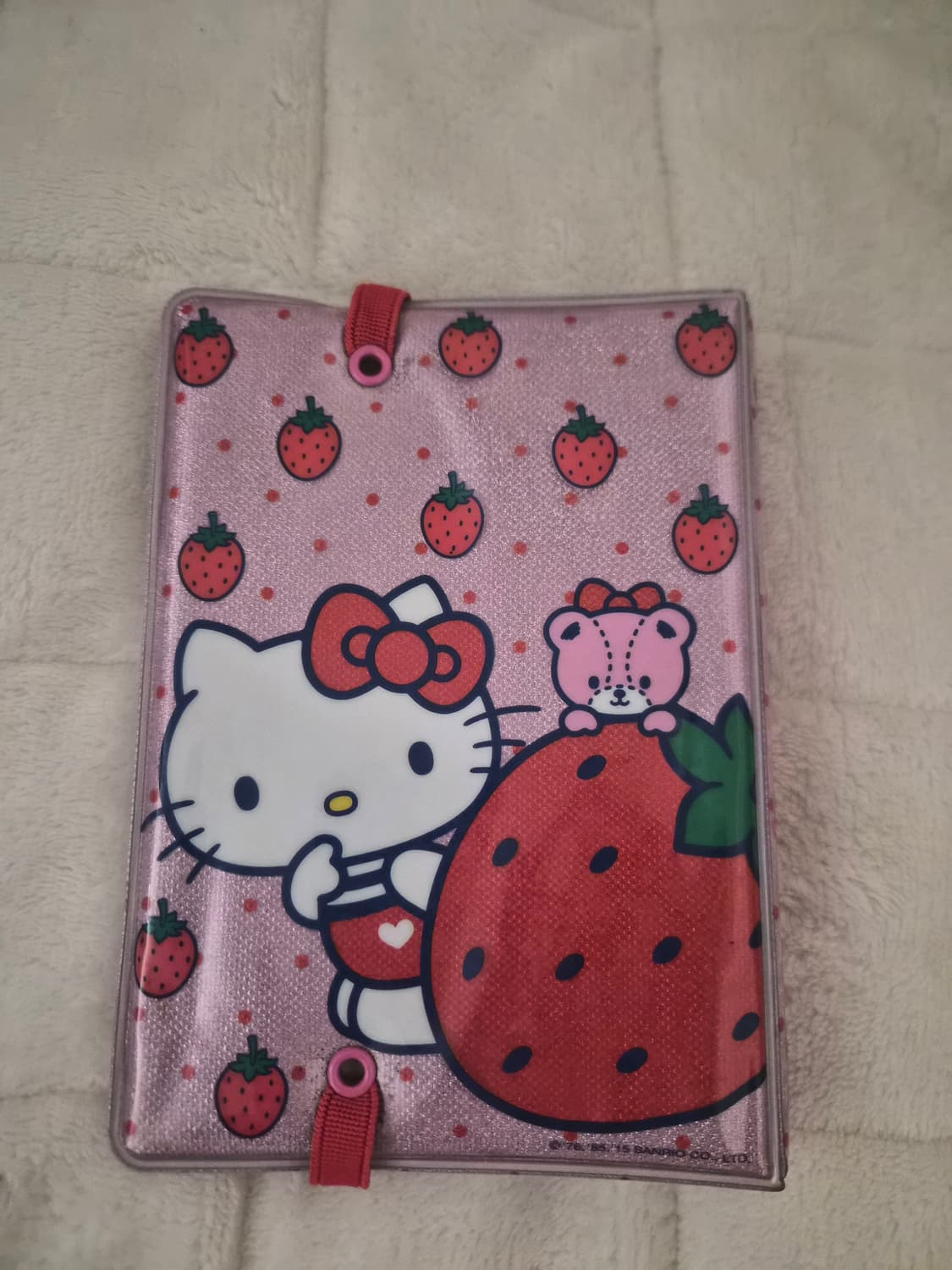 고전 헬로키티 다이어리 상품이미지2