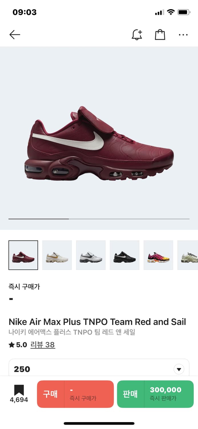 나이키 에어맥스 TNPO 250 상품이미지1