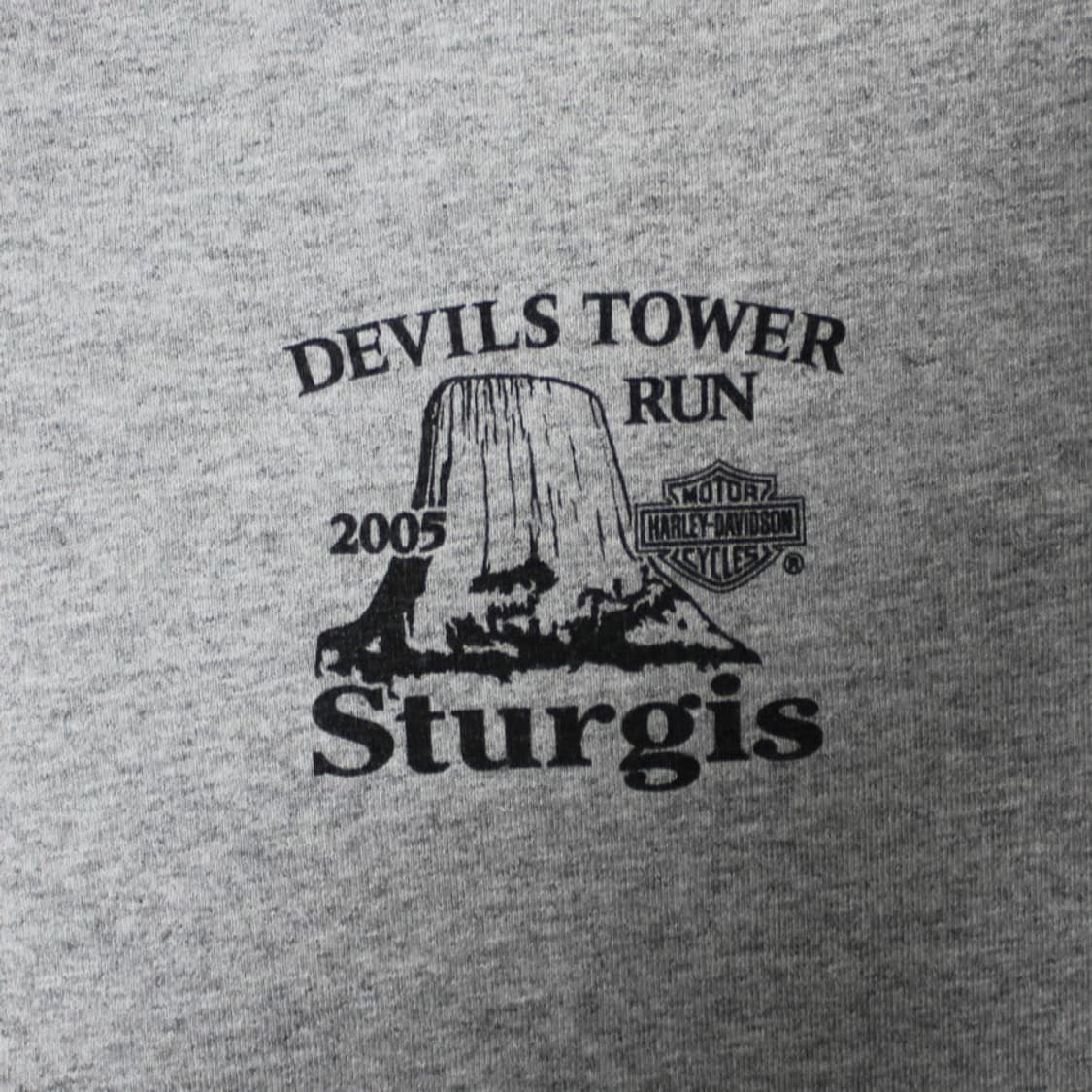 2005 Harley-Davidson 할리 데이비슨 이글 프린팅 반팔 상품이미지5