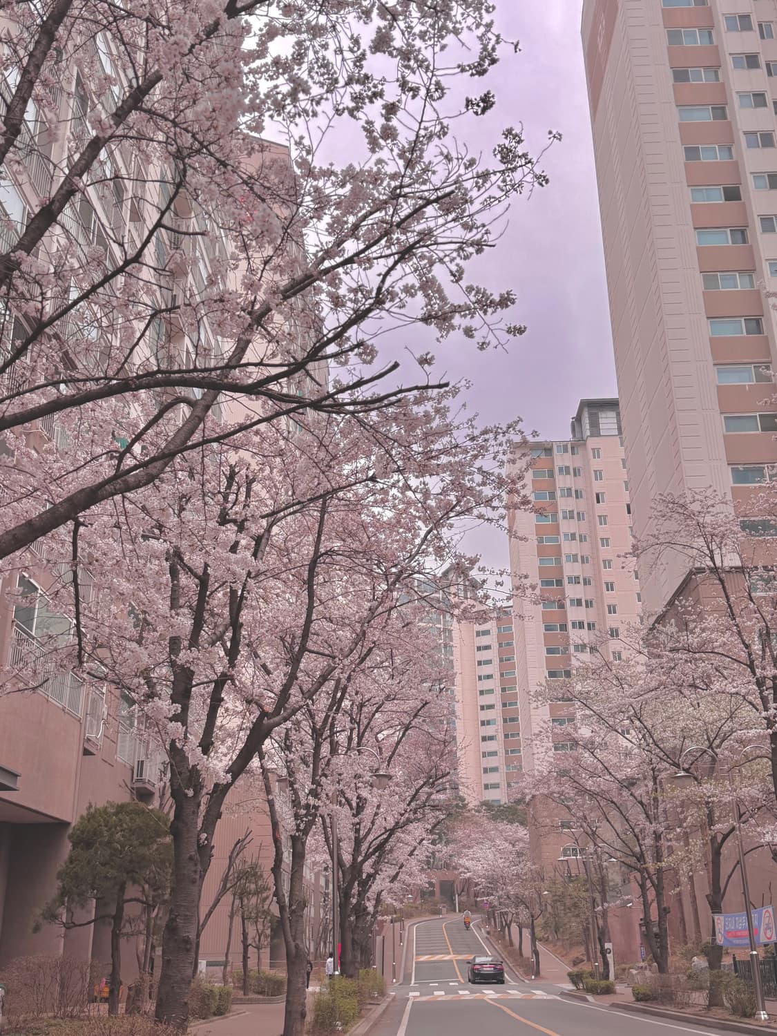 결제창 상품이미지1