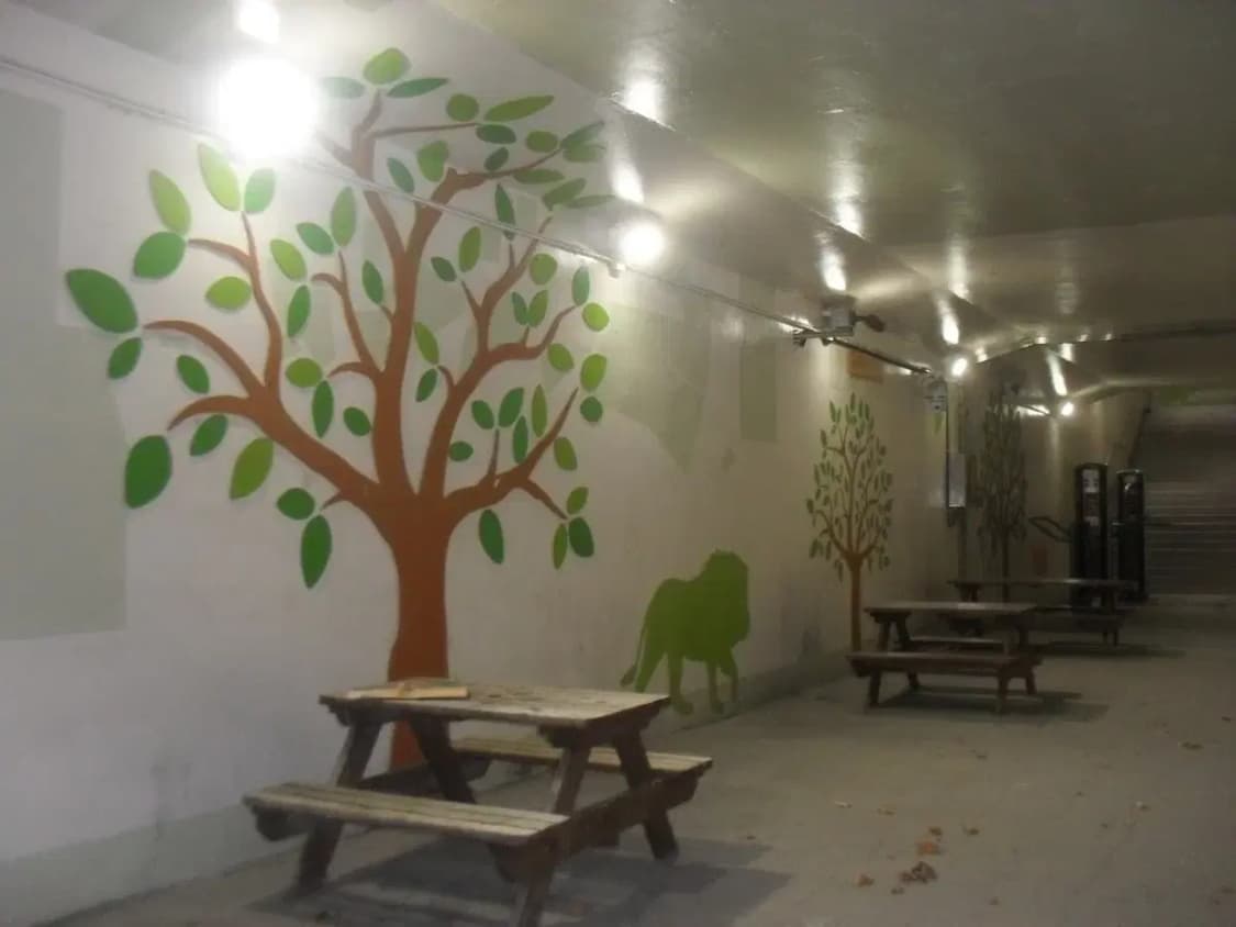 삼성 ES55 디지털카메라  상품이미지10