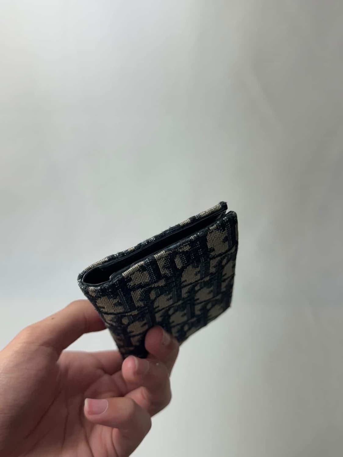 디올 오블리크 카드지갑 오거나이저 상품이미지3