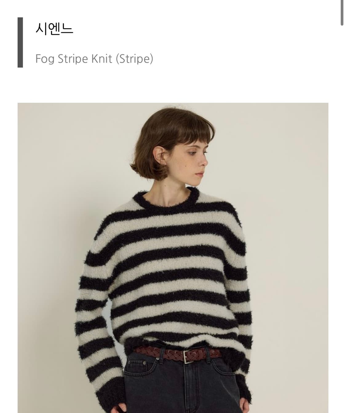 시엔느 스트라이프 포그 니트 상품이미지1