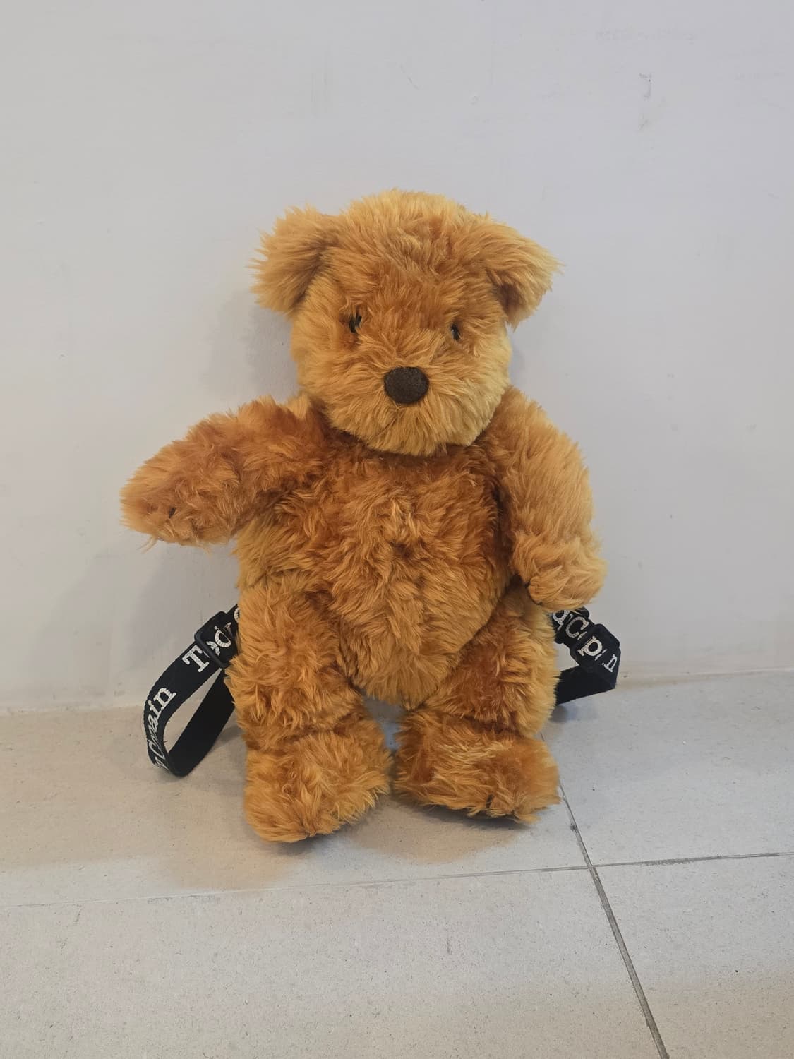 코팽칼린 테디베어 상품이미지1