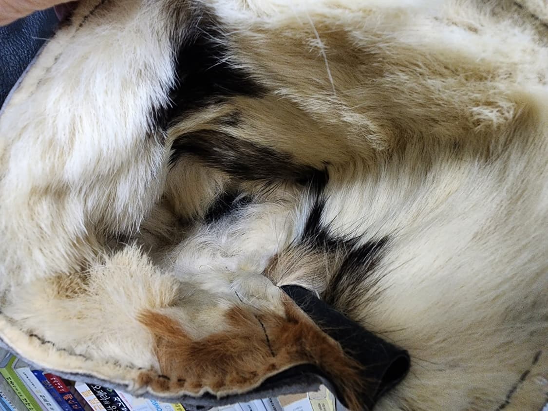 와일드울프 가죽방수 방한화  털부츠 방한부츠 스노우부츠 상품이미지9