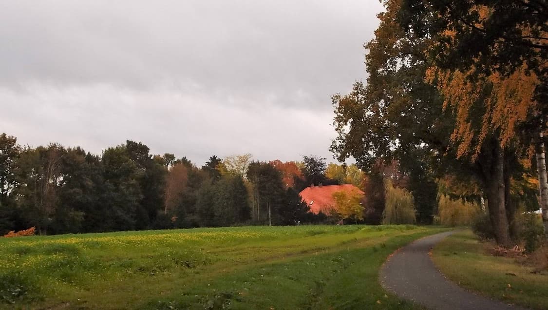 [필름색감!] 후지필름 파인픽스 JX700 골드 디지털카메라 상품이미지8