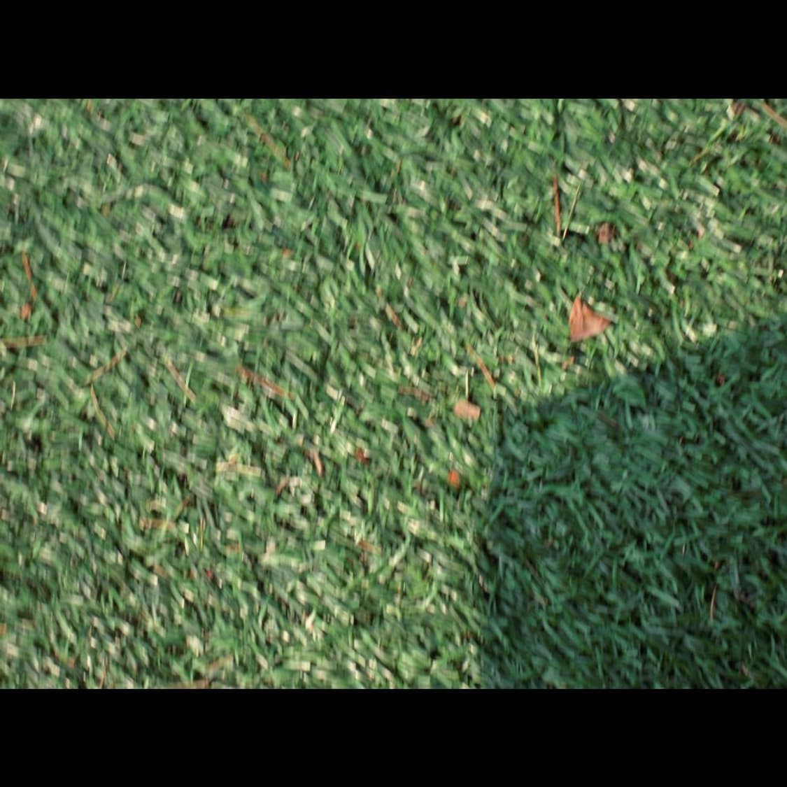 작례⭕️ 니콘 쿨픽스 S620 상품이미지8