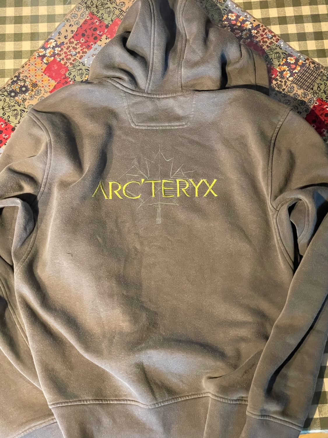 [ARCTERYX] 후드집업 상품이미지3