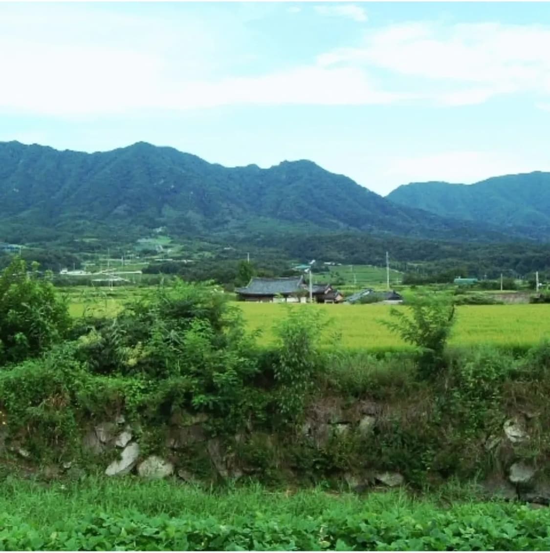 파인픽스f401 레트로 디카 상품이미지7