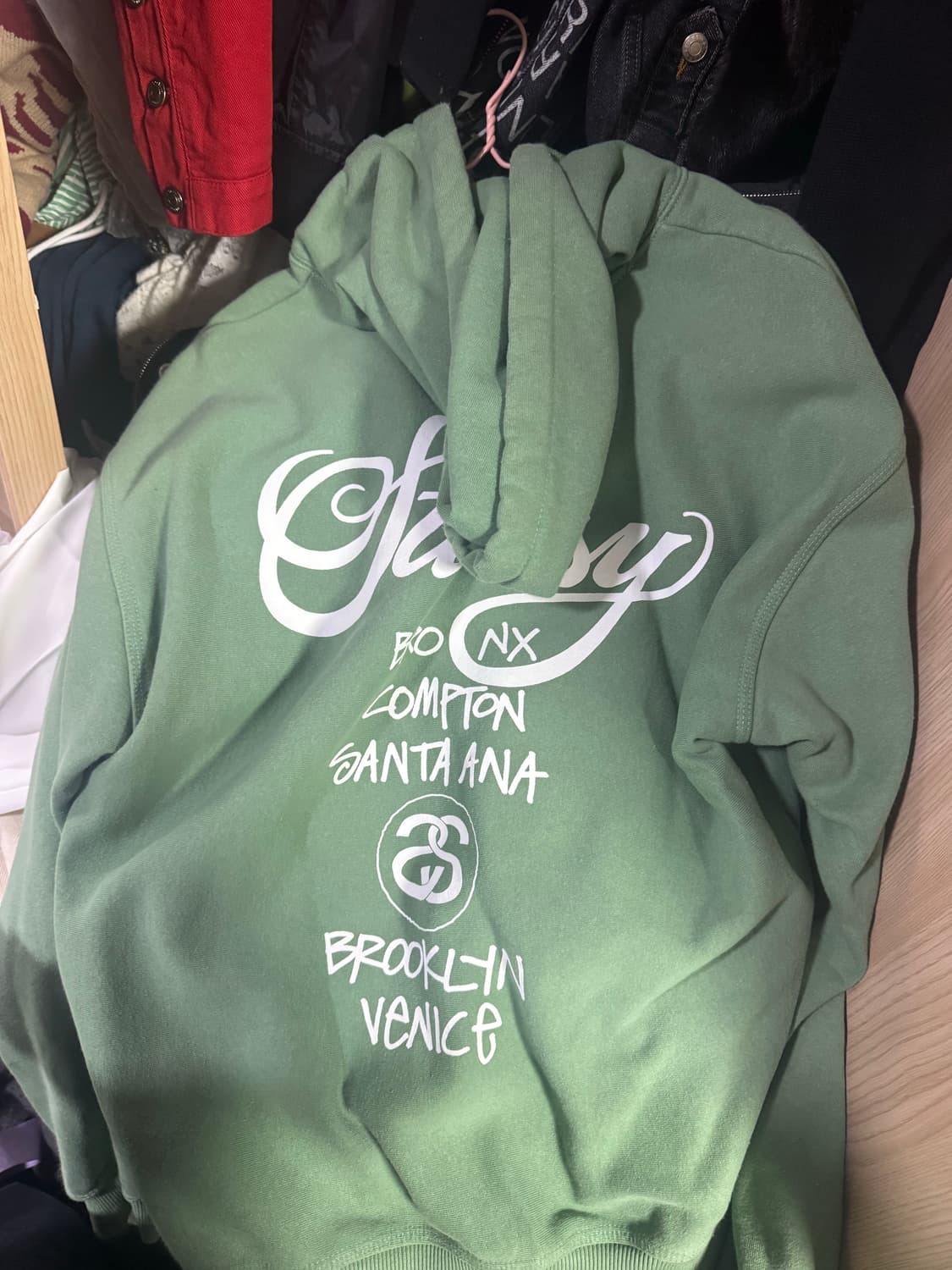 스투시 월드투어 후드 그린 2022 상품이미지3