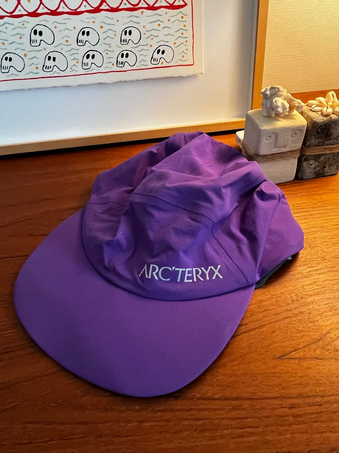 아크테릭스 모자 상품이미지1