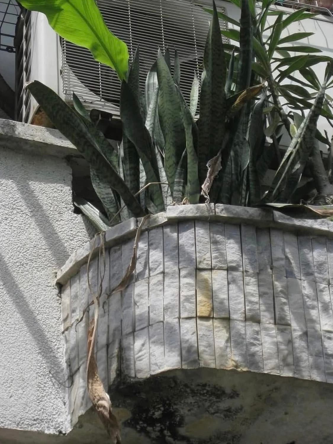 캐논 ixy 110is (ixus 95is) 핑크 디카 상품이미지10