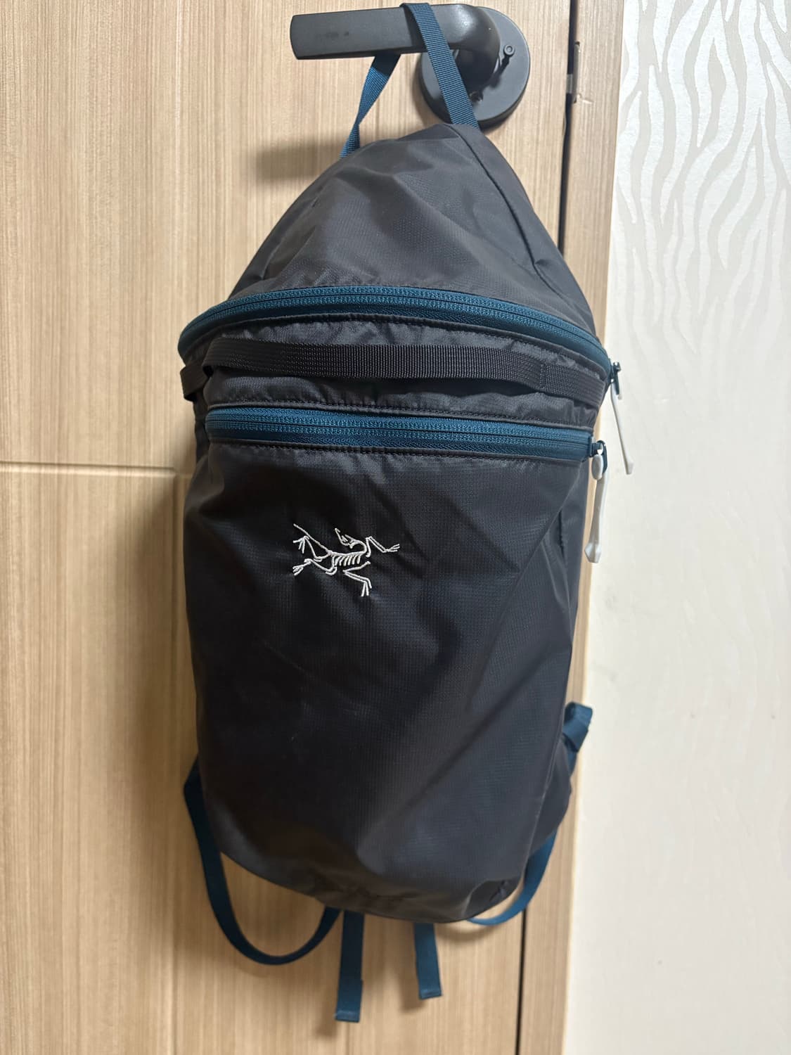 아크테릭스 헬리아드 로데스타 상품이미지1