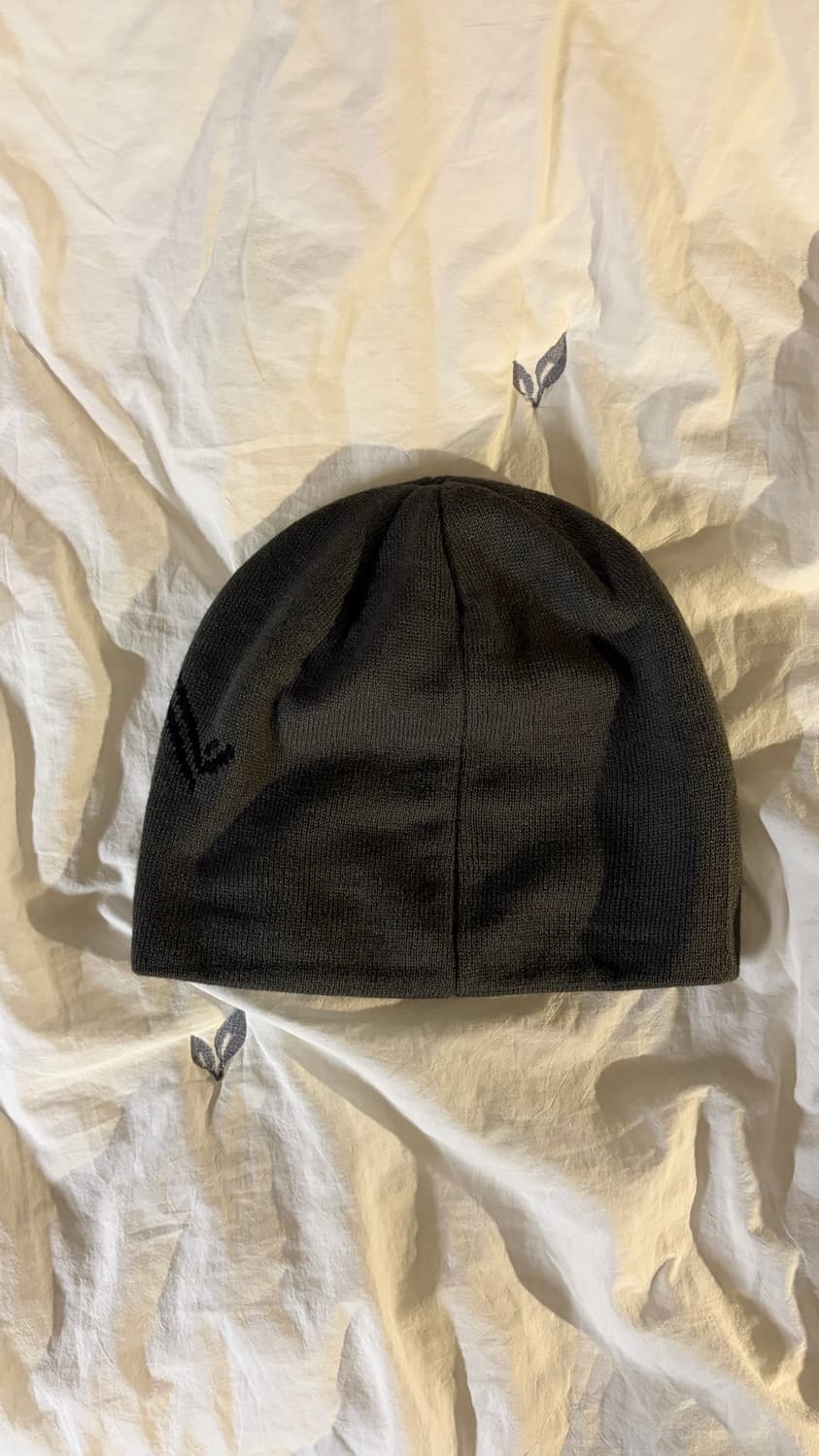 아크테릭스 비니 상품이미지2