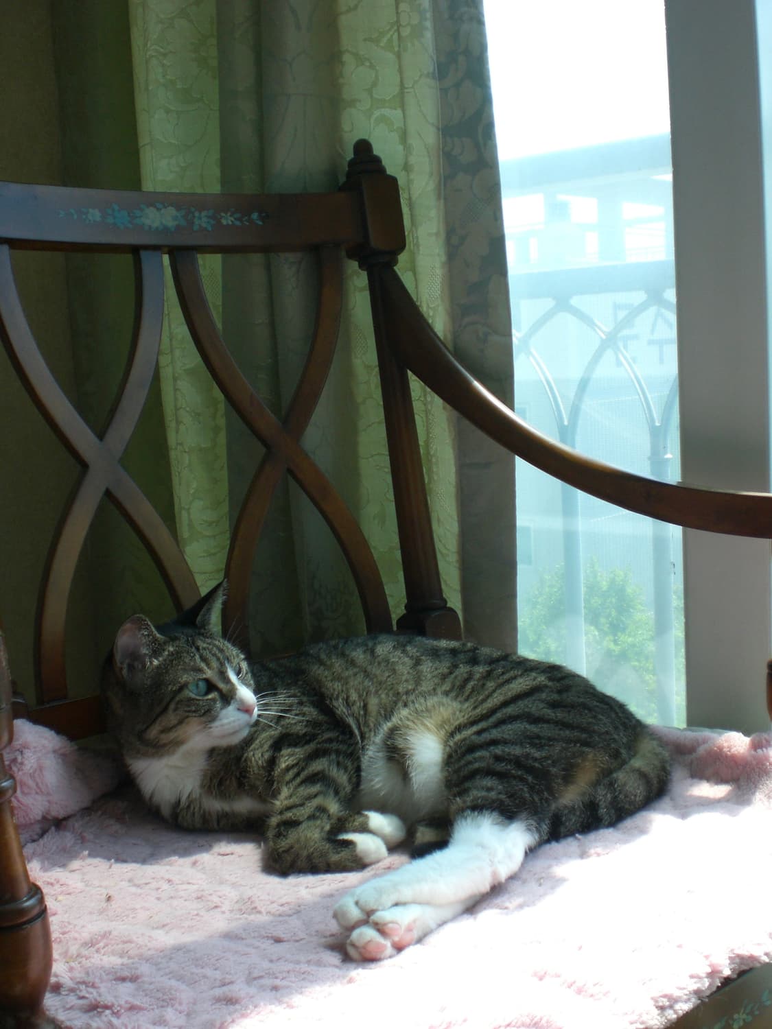 [풀세트/아이브가을디카☁️] 카시오 엑슬림 z75 (작례O) 상품이미지8