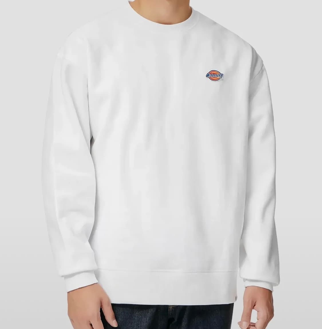 디키즈 릴렉스드 맨투맨 s 상품이미지1