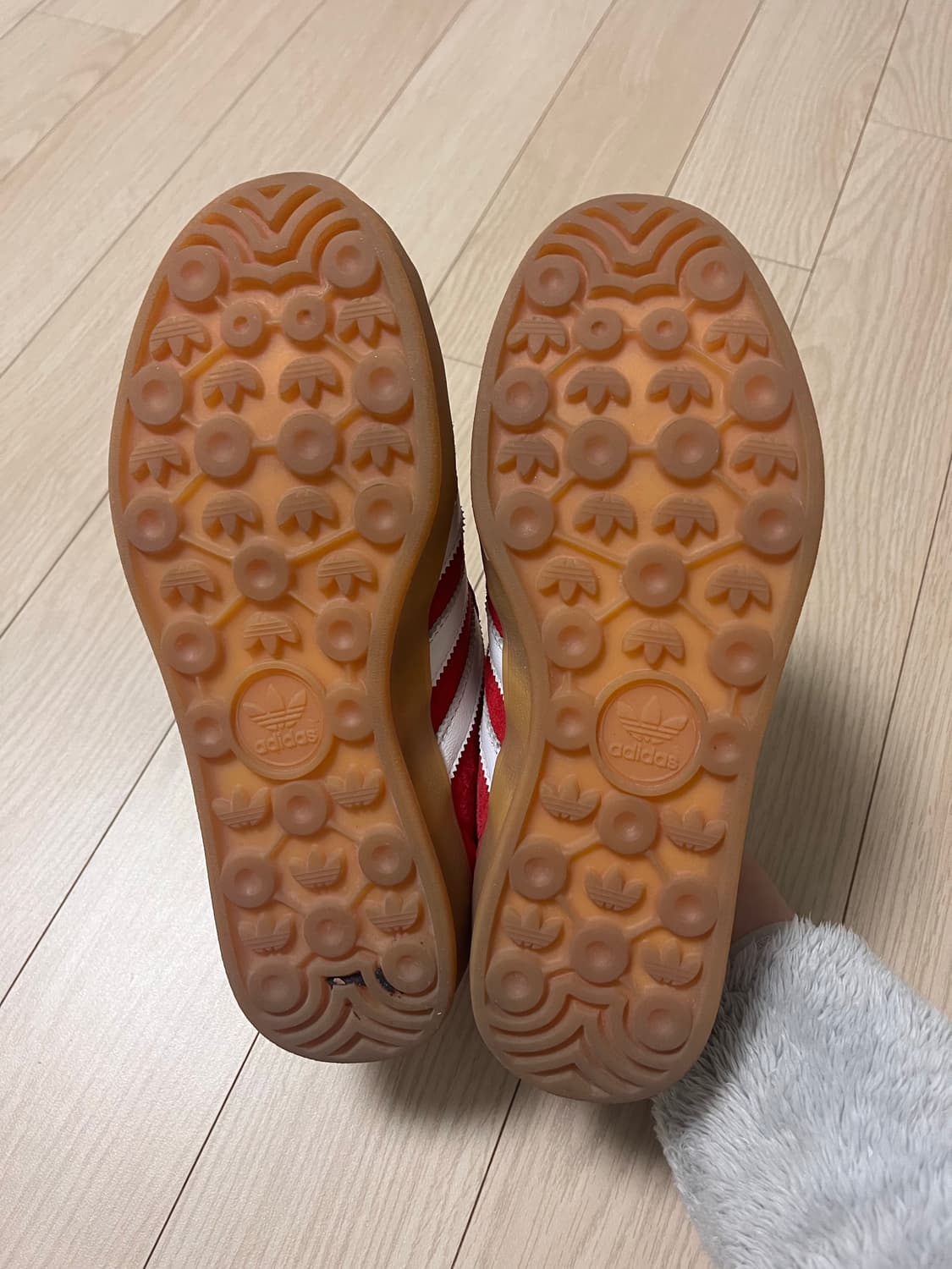 아디다스 가젤 인도어 스칼렛 225 상품이미지3