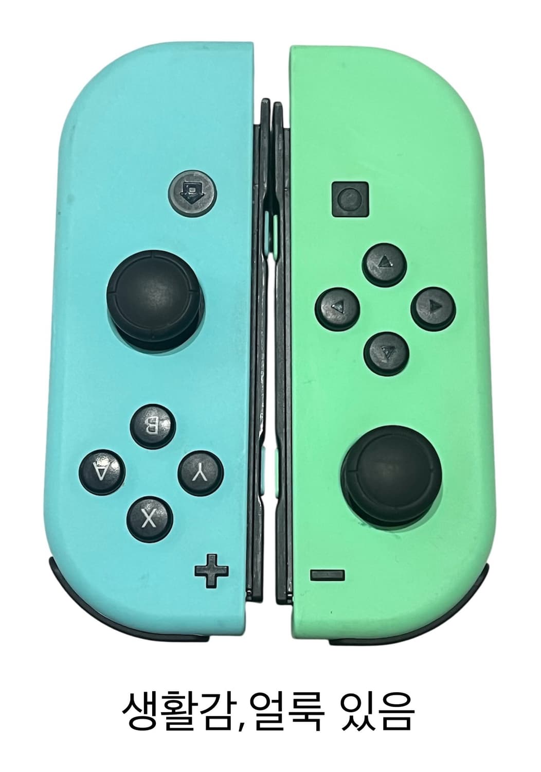 닌텐도 스위치 모동숲 에디션 동물의숲 아미보카드 포함 상품이미지6