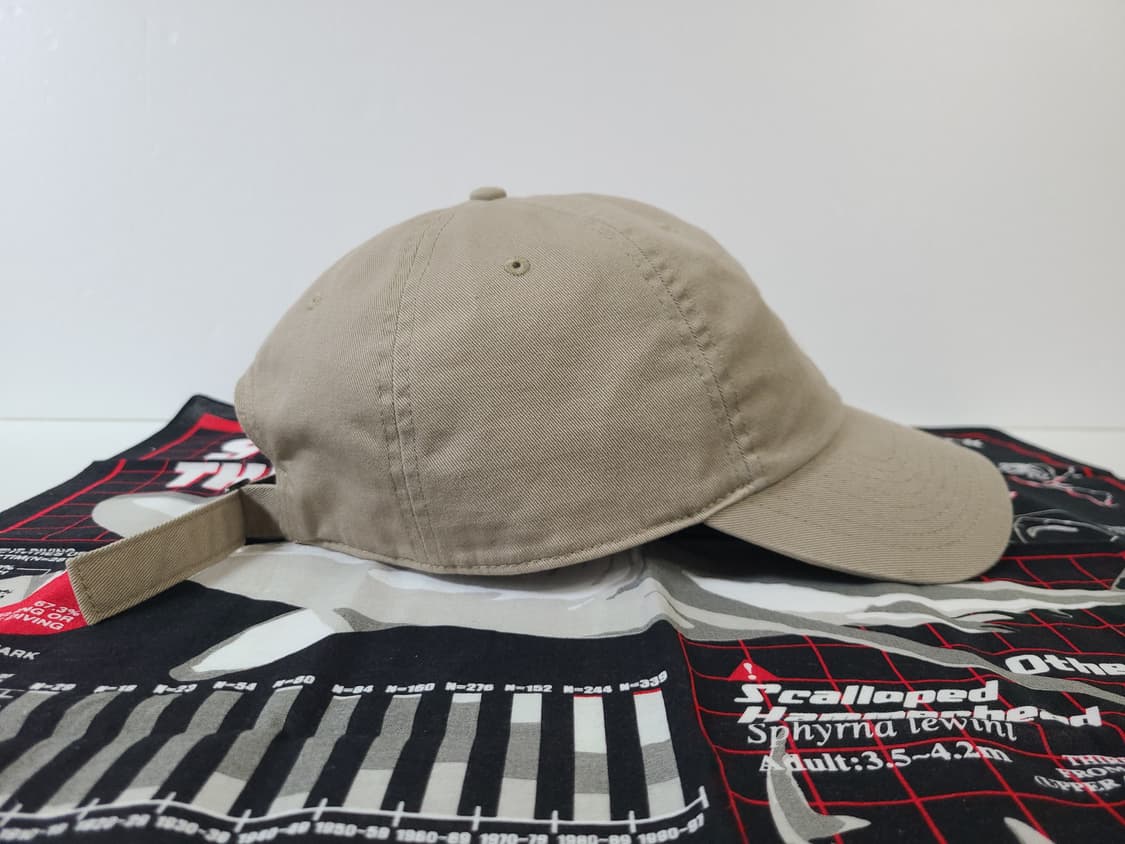 (L XL) (대두) 나이키 베이지 모자 상품이미지4