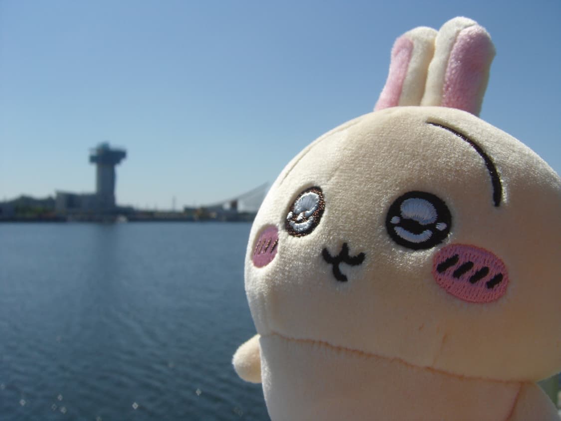 SONY CyberShot DSC-J10 소니 사이버샷 디카 상품이미지7