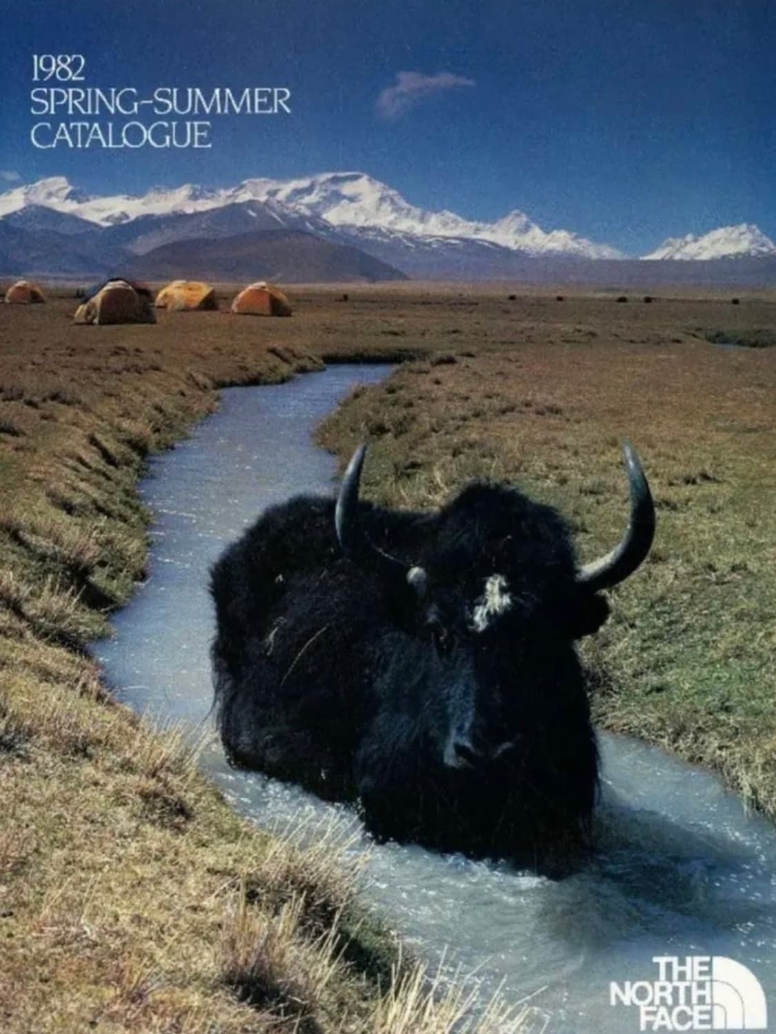 TNF 올드 노스페이스 아웃도어 기능성 볼캡 상품이미지7