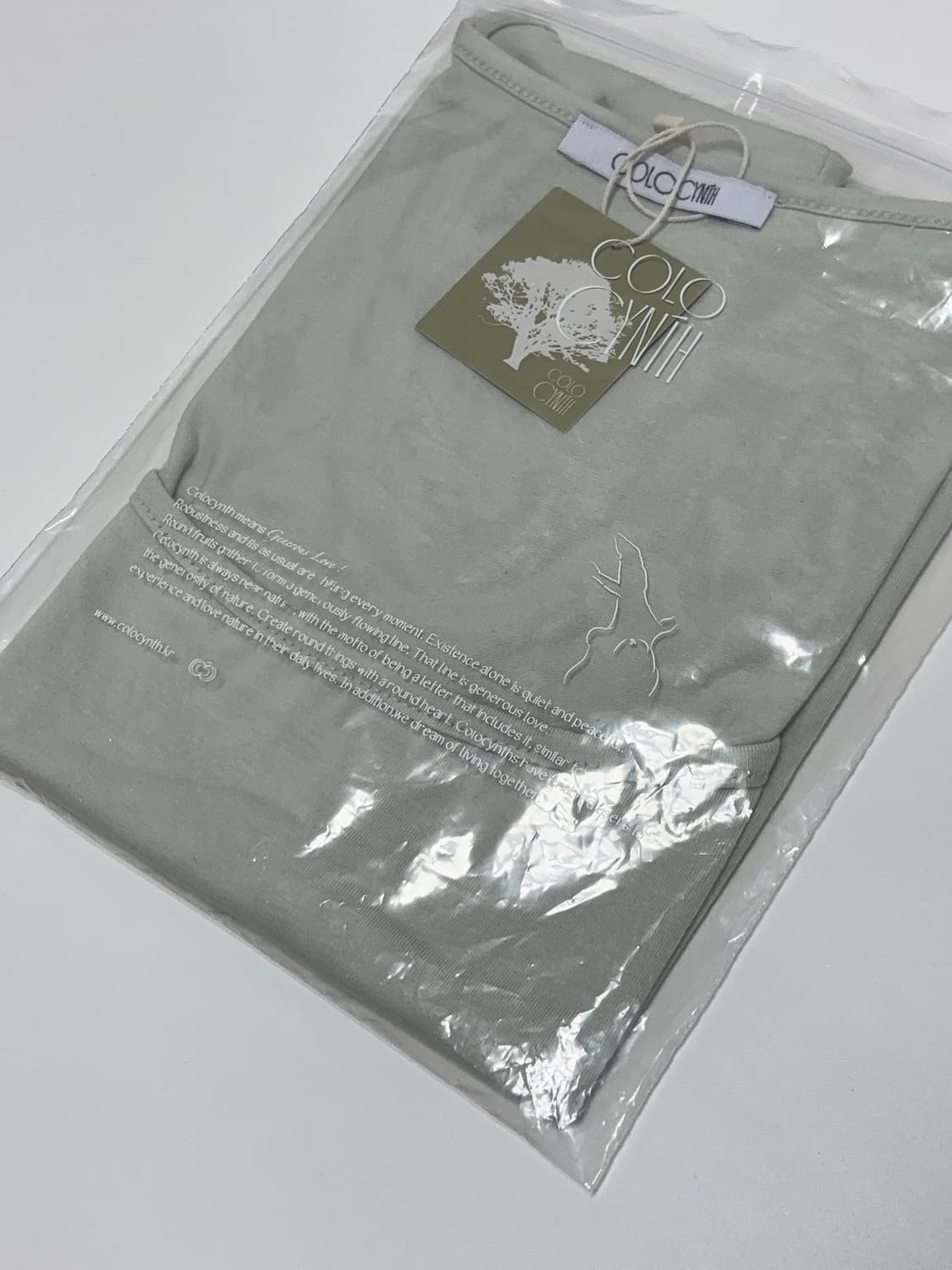 콜로신스 스퀘어 티셔츠 허니듀그린 상품이미지3