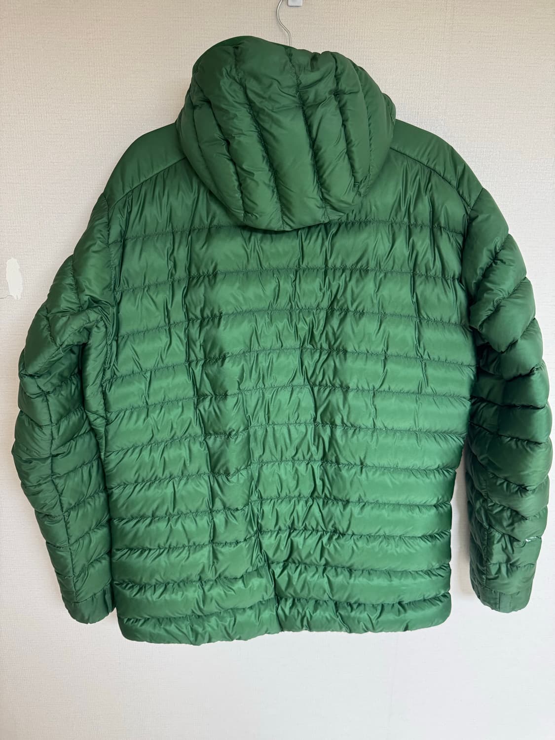 L 아크테릭스 세륨 LT 후디 패딩 캐년그린 프랭크오션 상품이미지2