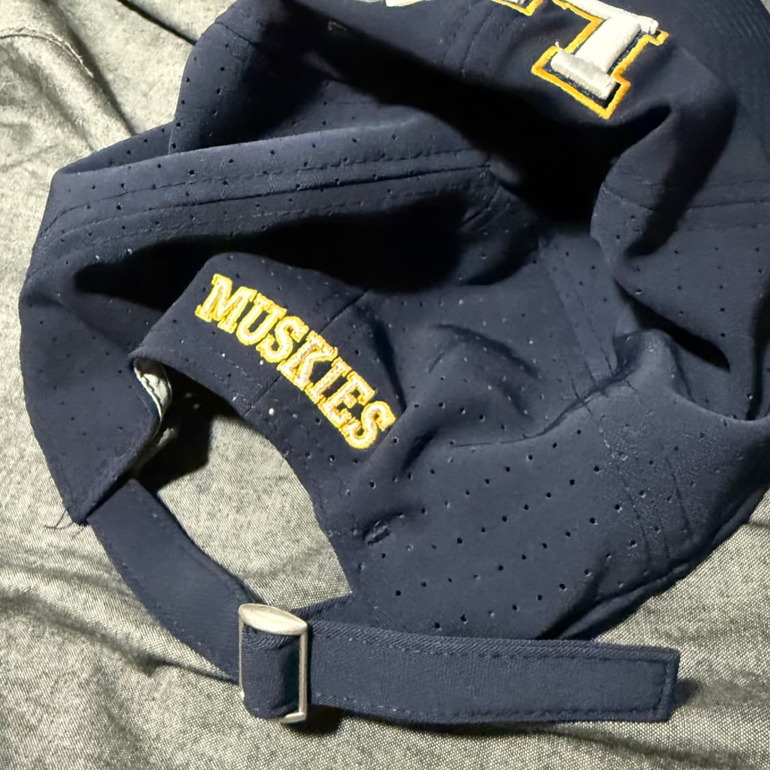 NCAA Lakeland University Muskies Hat 상품이미지9